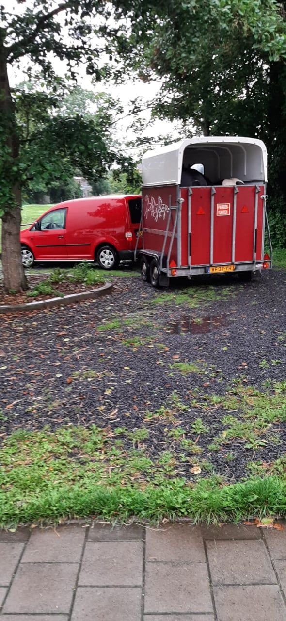 2 paardstrailer