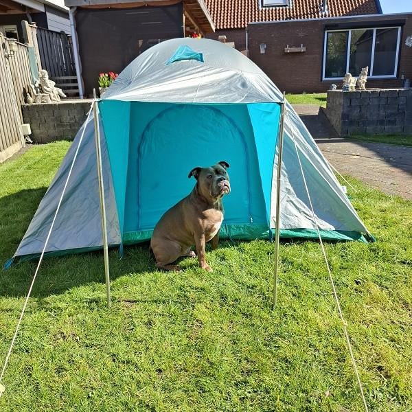 2 Persoonstent  LEES