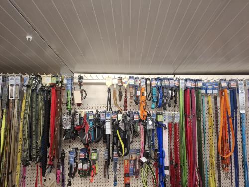 Profiteer deze week nog van 50 % KORTING op...