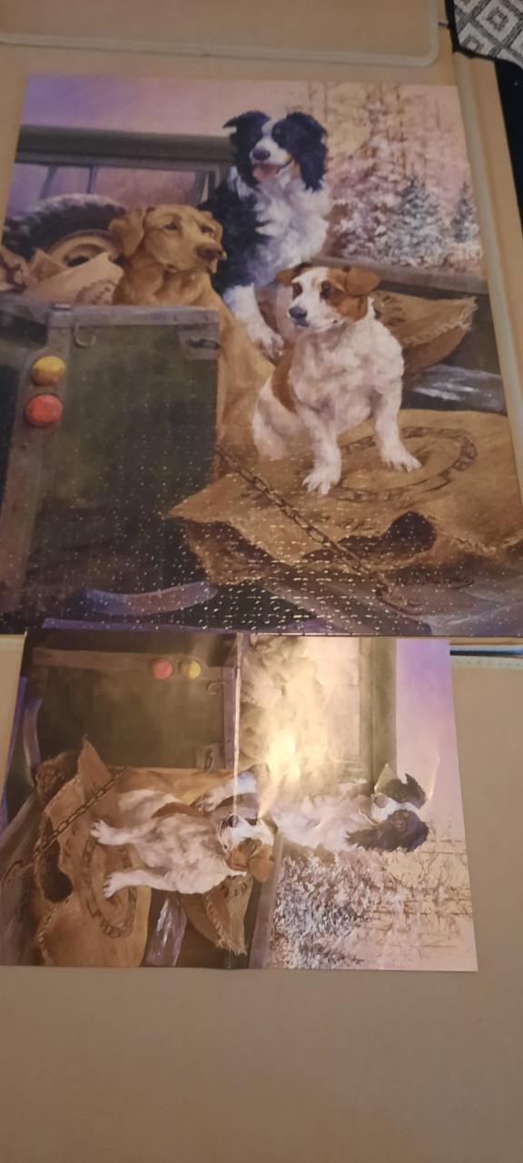 Leuke puzzel van 1000 stukjes