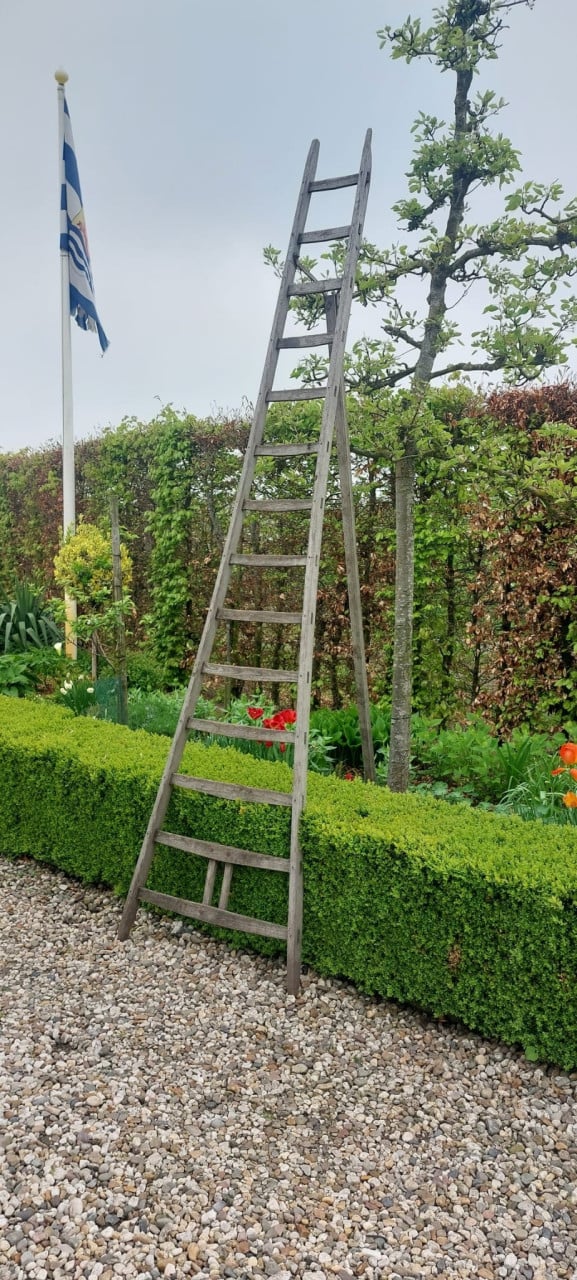 Originele 3 poot kersenladder