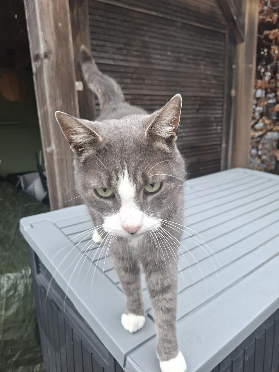 4 sterrenhuisje gezocht!