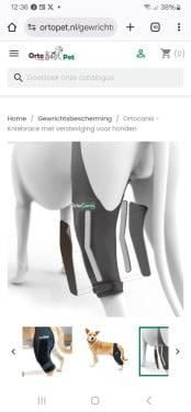 Knie brace voor hond
