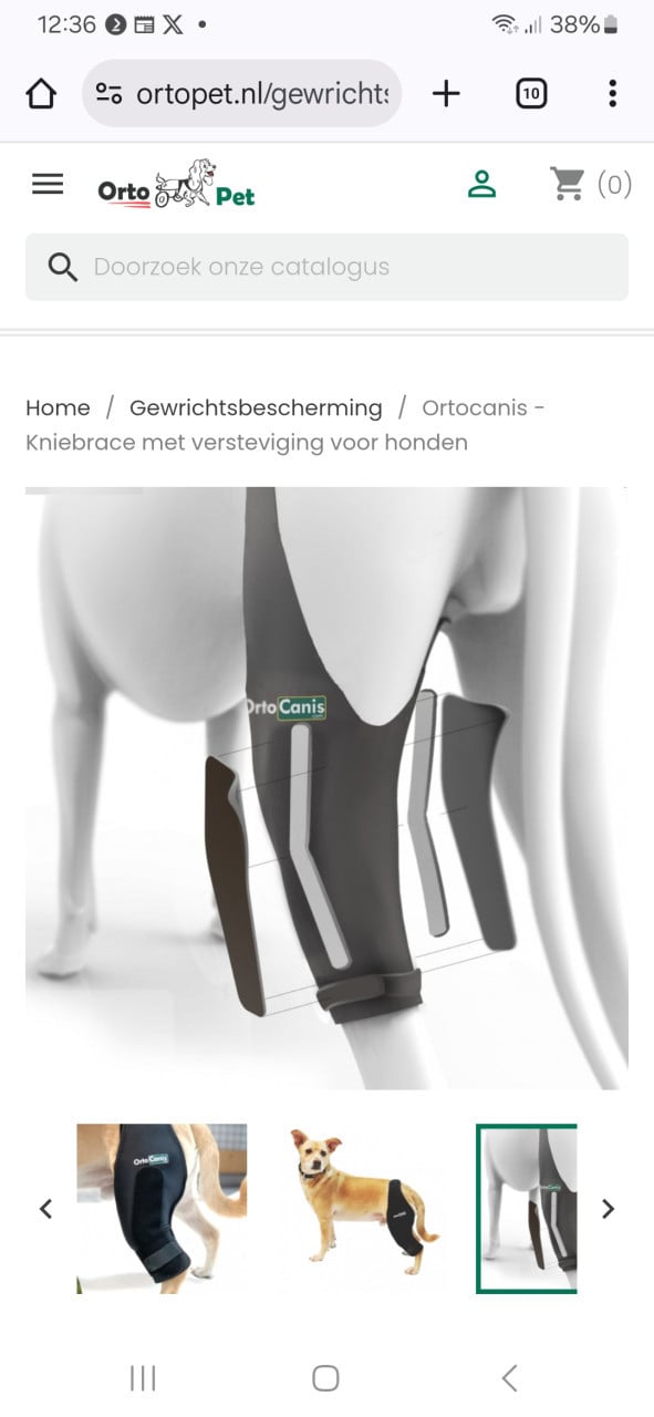 Knie brace voor hond