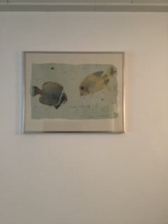 Poster van vis in zilverkleurig lijstje.    50x40 cm