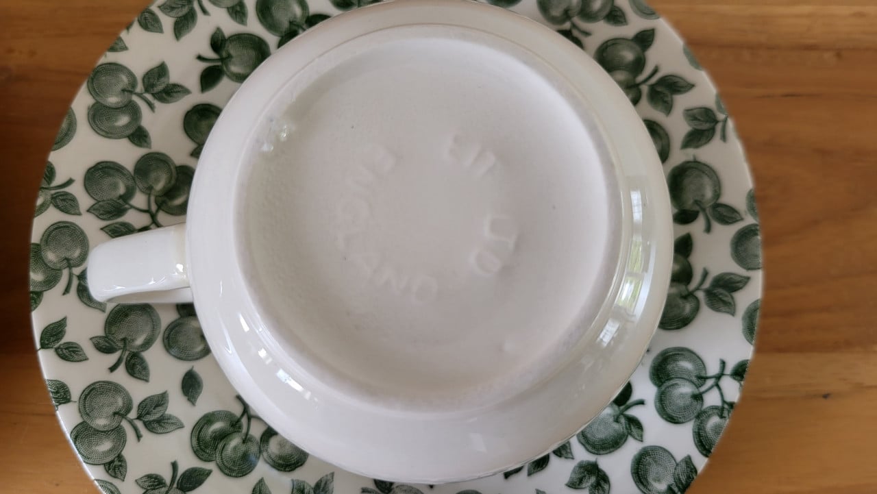 Set v 2 English Ironstone Tableware Green Apple kop en schotels