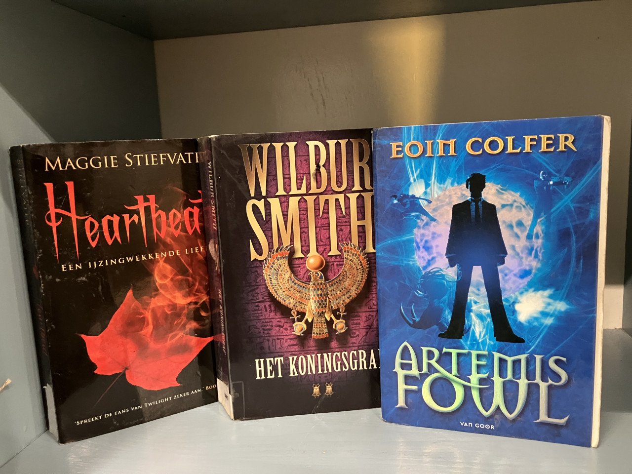 Setje fantasy boeken