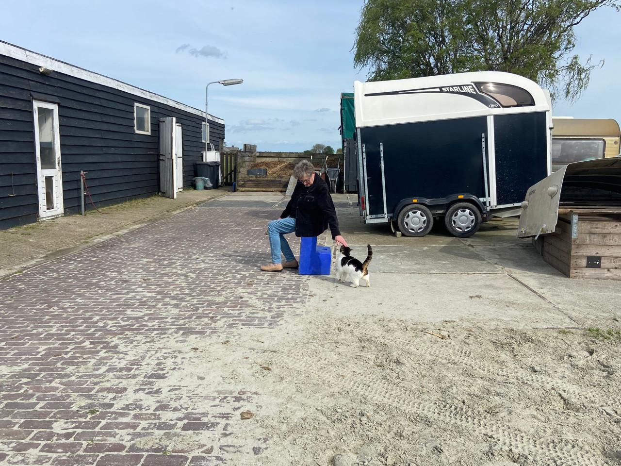 Paardenbox te huur Wolphaartsdijk