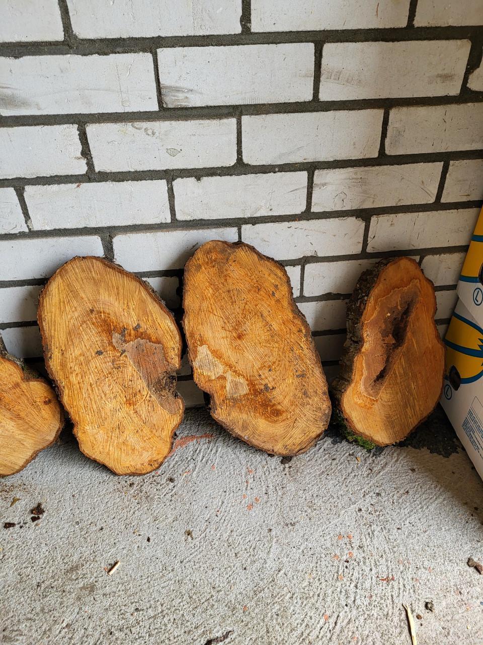 Schijven van perenbomen.