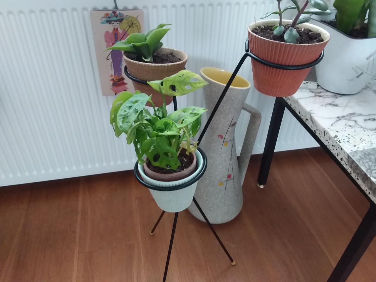 Pilastro retro plantenstandaard vintage