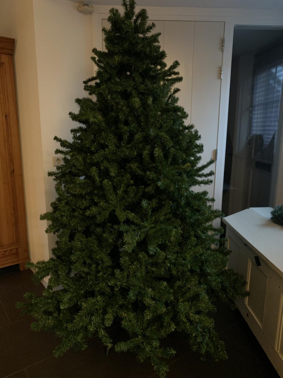 Kerstboom ong 2 meter Intratuin