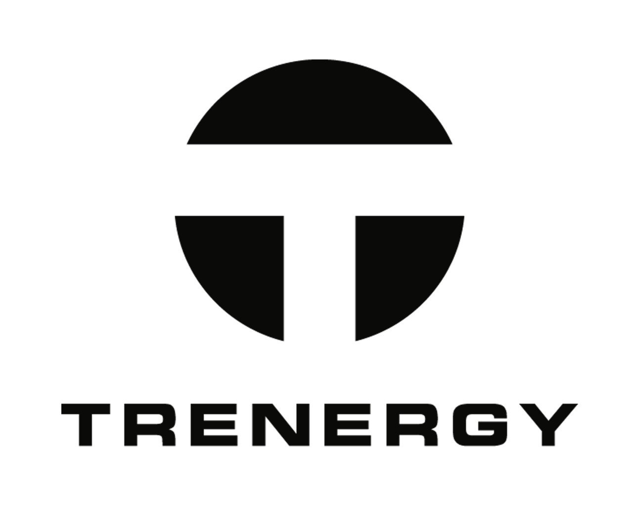 Nieuwe Trenergy 2025 Performance 2.5 RIEM E-Bike 54cm of 58cm 80Nm 720Wh