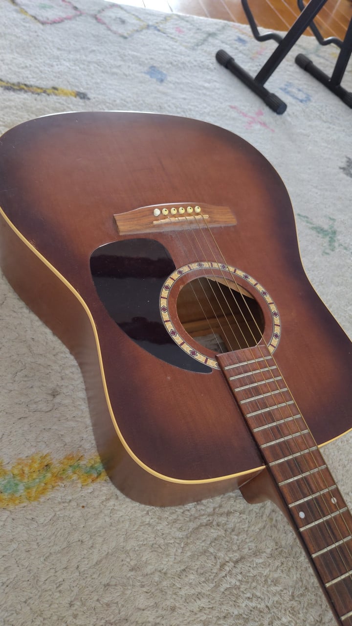 Art & Lutherie Cedar Dreadnought