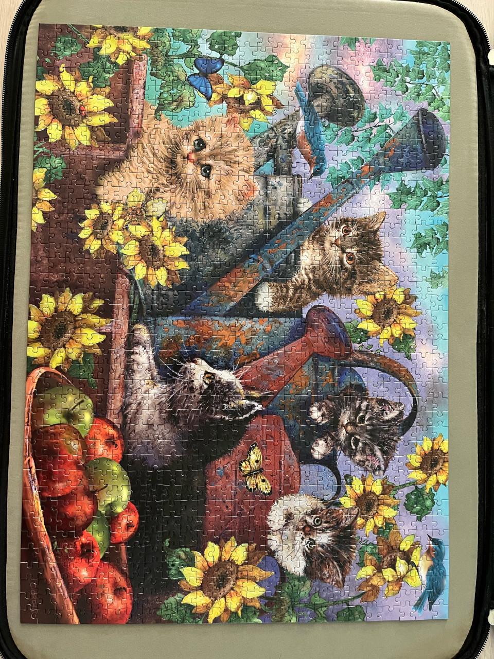 Puzzels 1000 stukjes