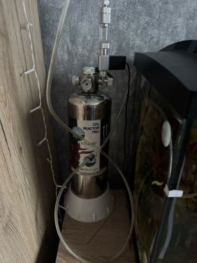 Aquarium 60L