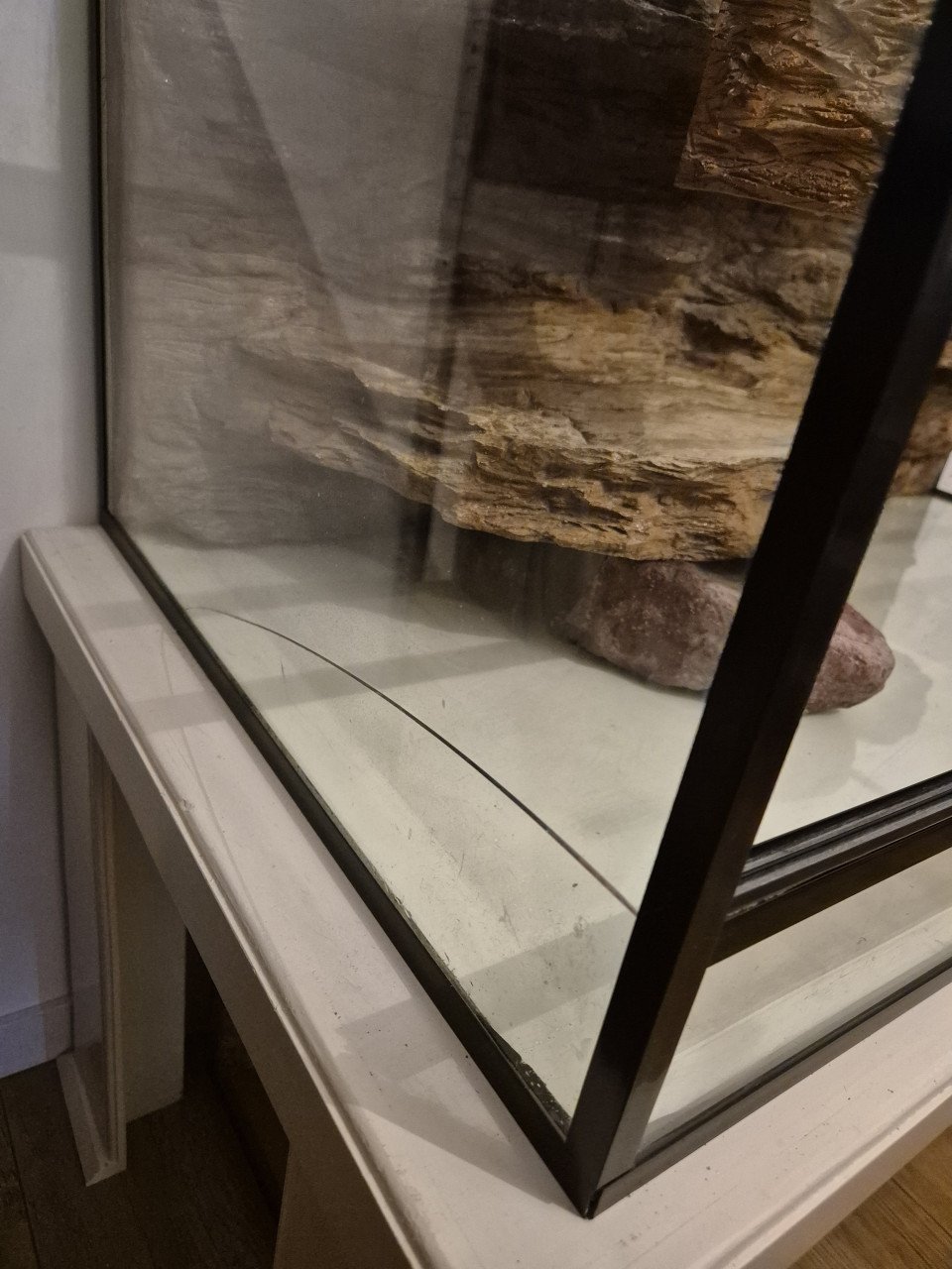 Terrarium