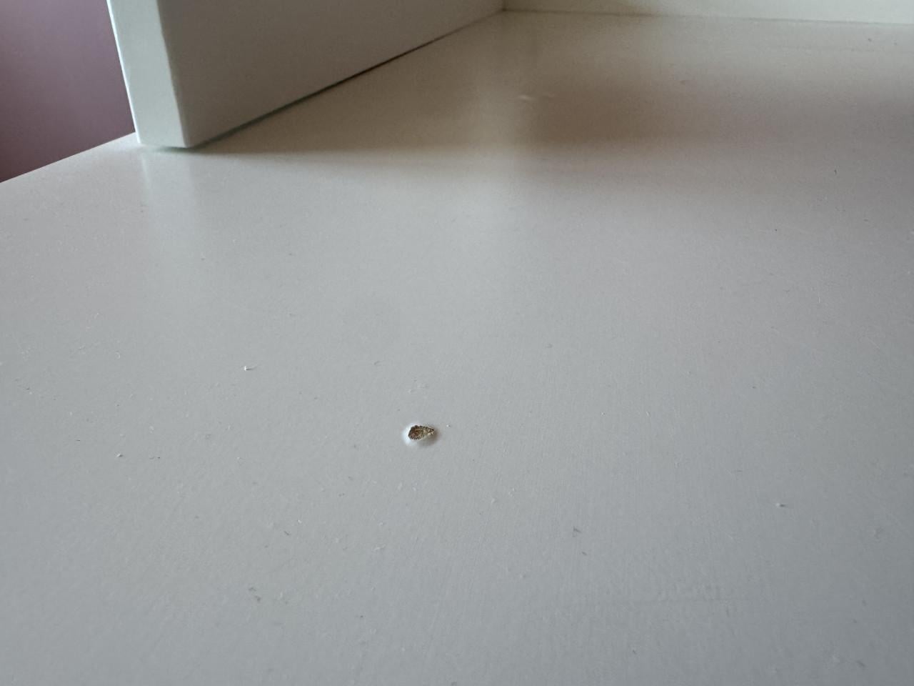 Commode en ledikant incl. peuter instaphekje