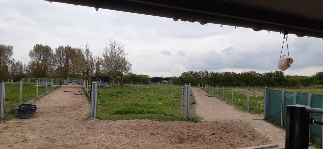 Plek vrij op paddock paradise Oostkapelle