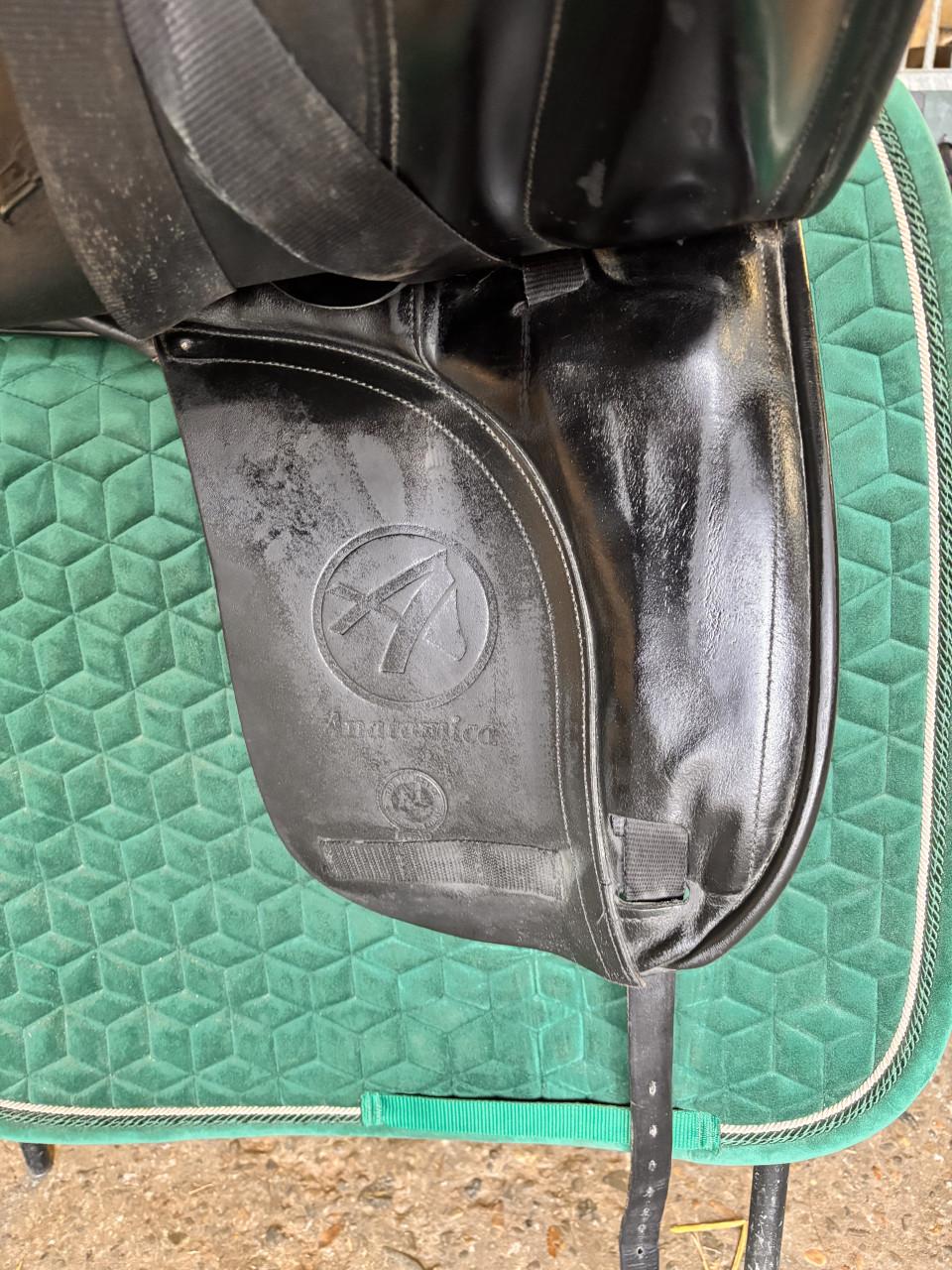 Anatomica Cygnus dressuurzadal