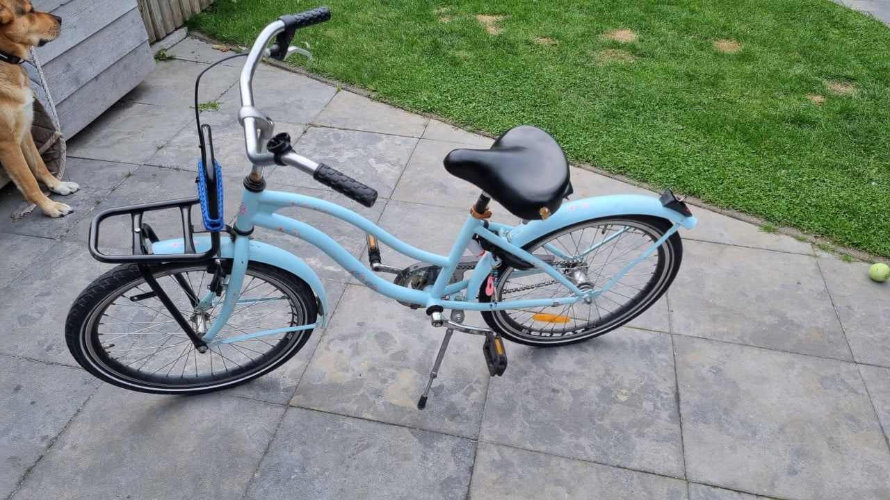 22 inch meisjesfiets