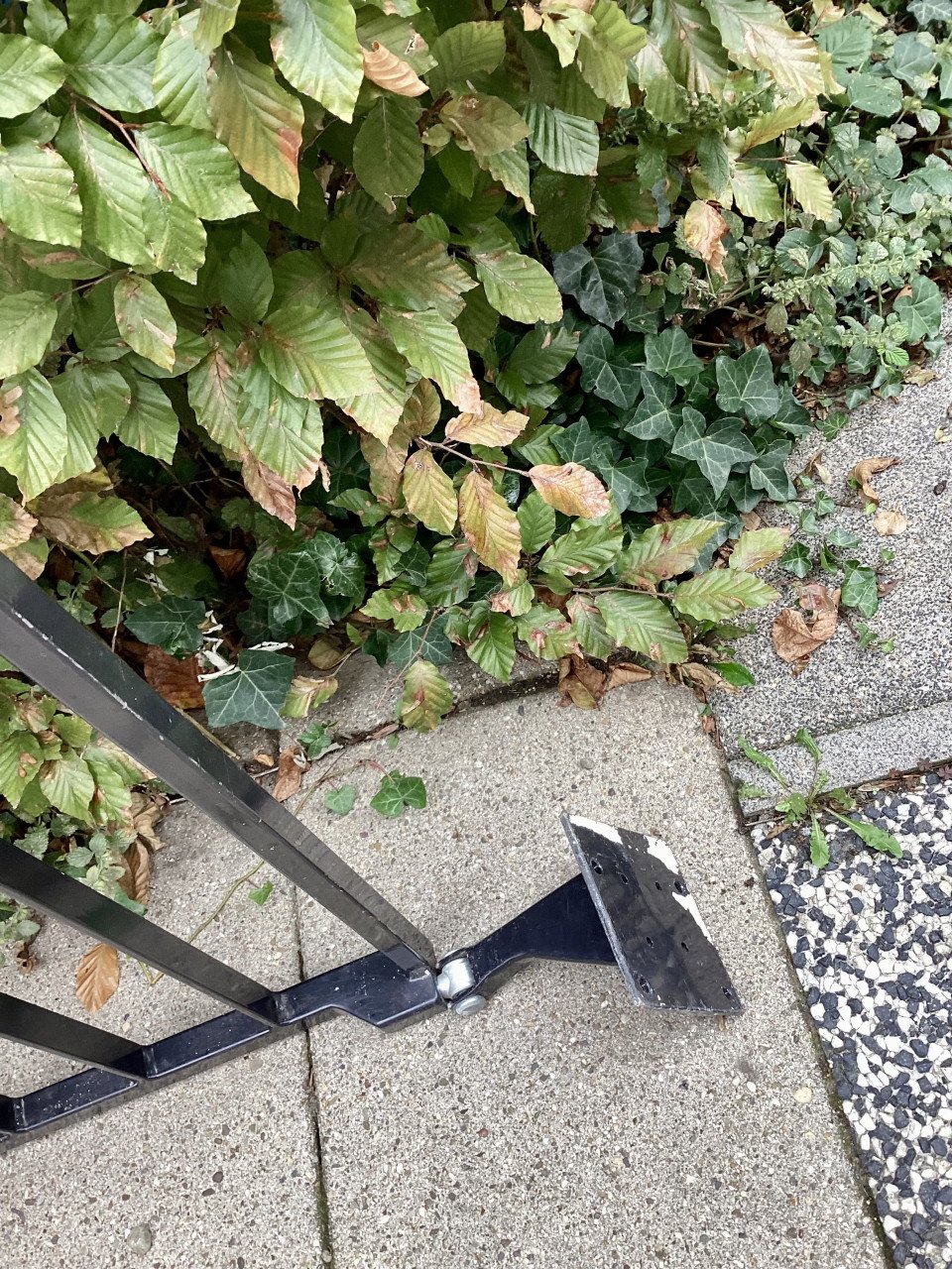 Zeer degelijk hekwerk / tuinpoort