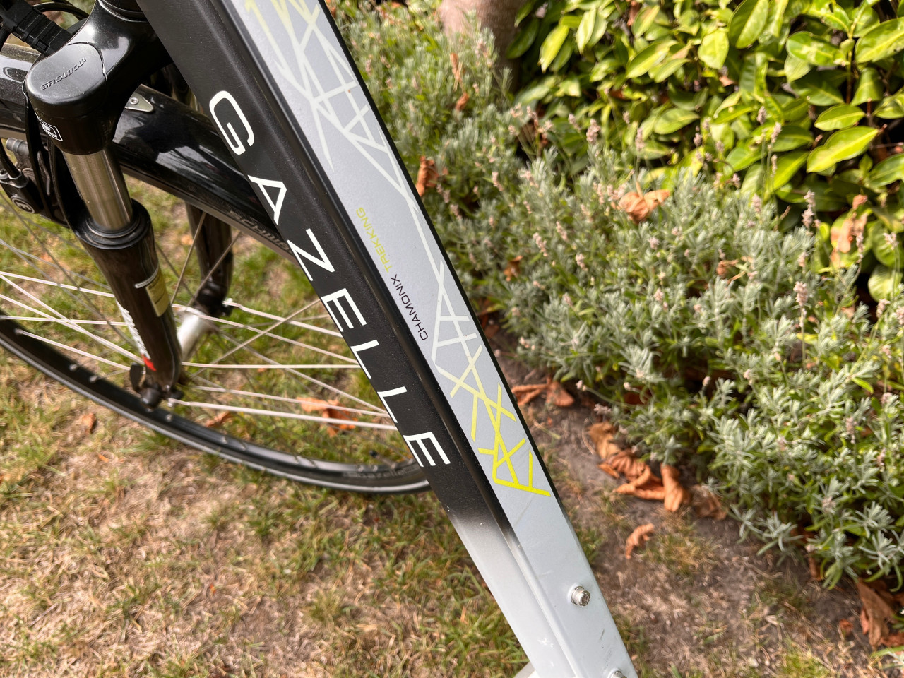 Gazelle Chamonix elektrische damesfiets D49