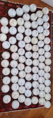 Titleist pro v-1 en pro v-1+ golfballen