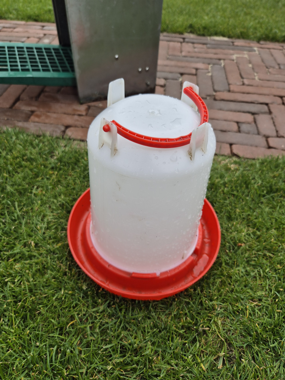 Voer en drinkensbak kip