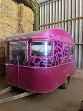 Festival panter caravan te koop!