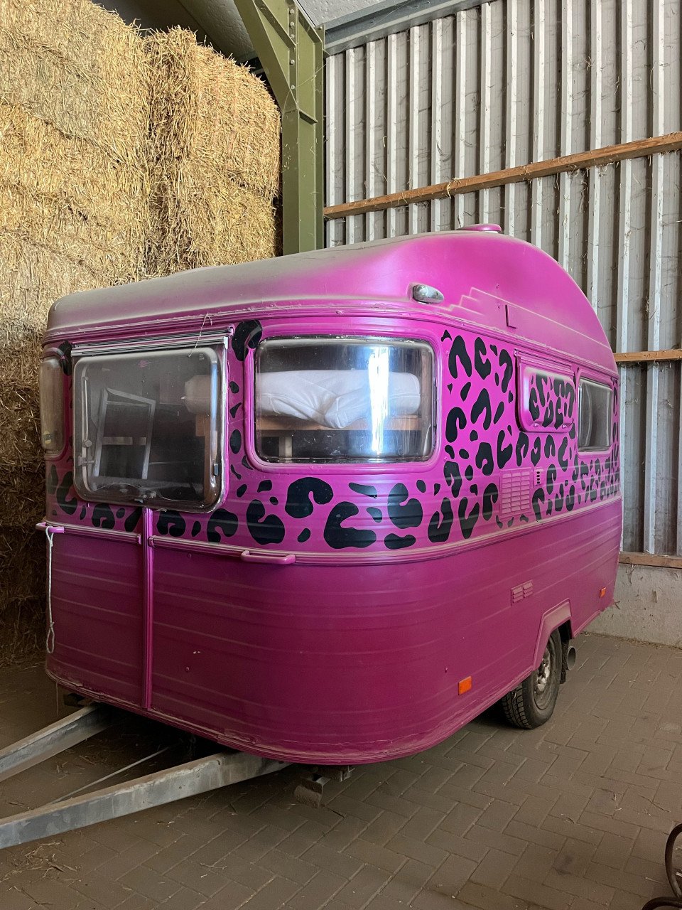Festival panter caravan te koop!