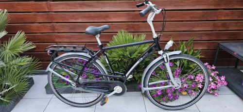 Batavus  100%Foxtrot Herenfiets
