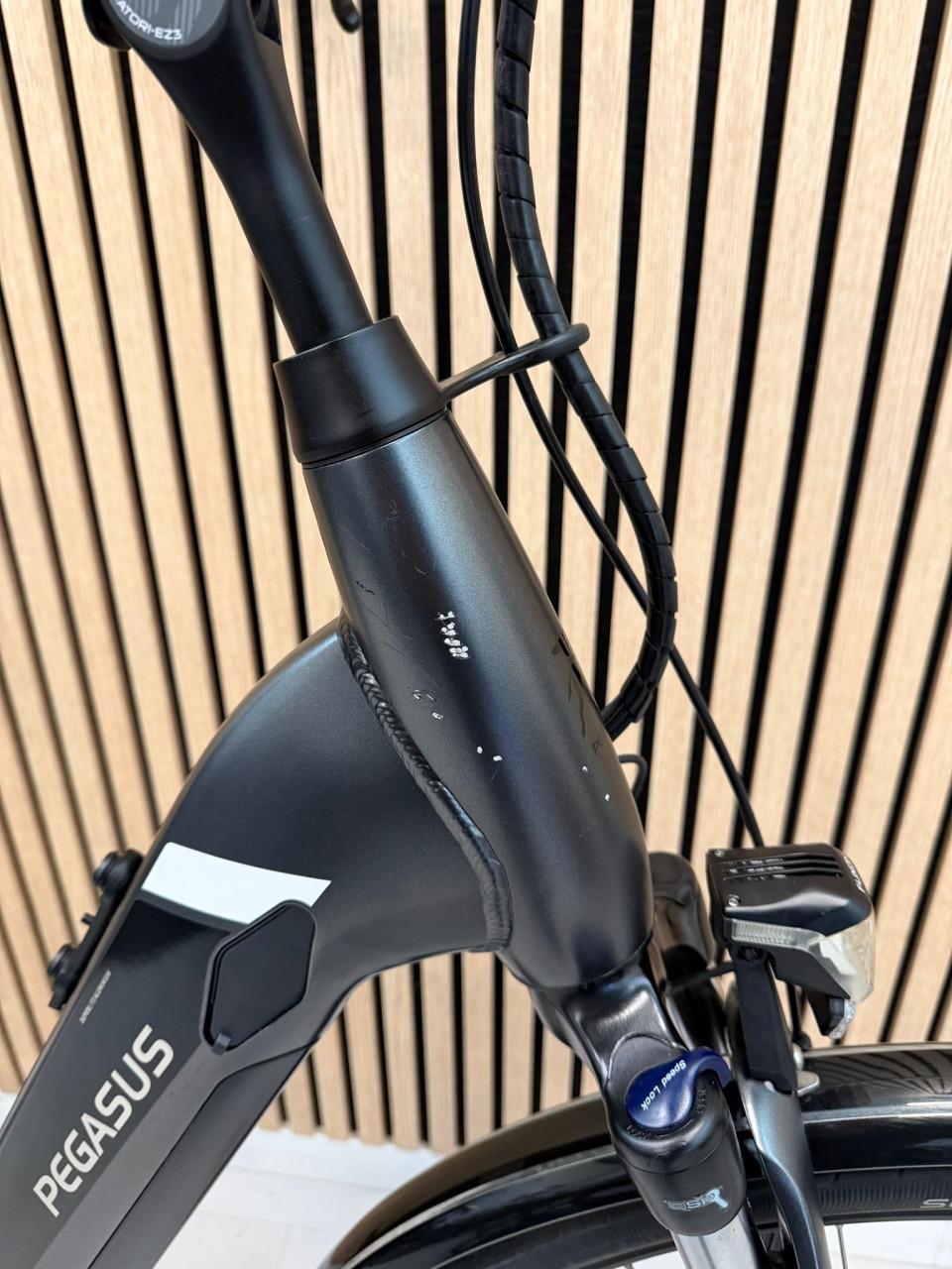 Pegasus Ravenna Bosch Performance Line 60CM 500Wh Belt