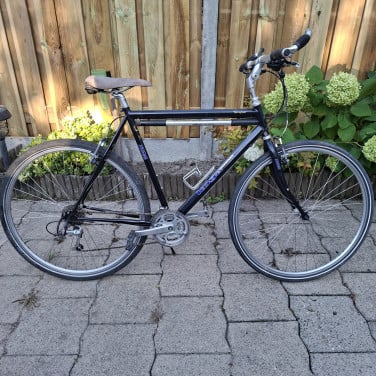 Koga Miyata Terraliner