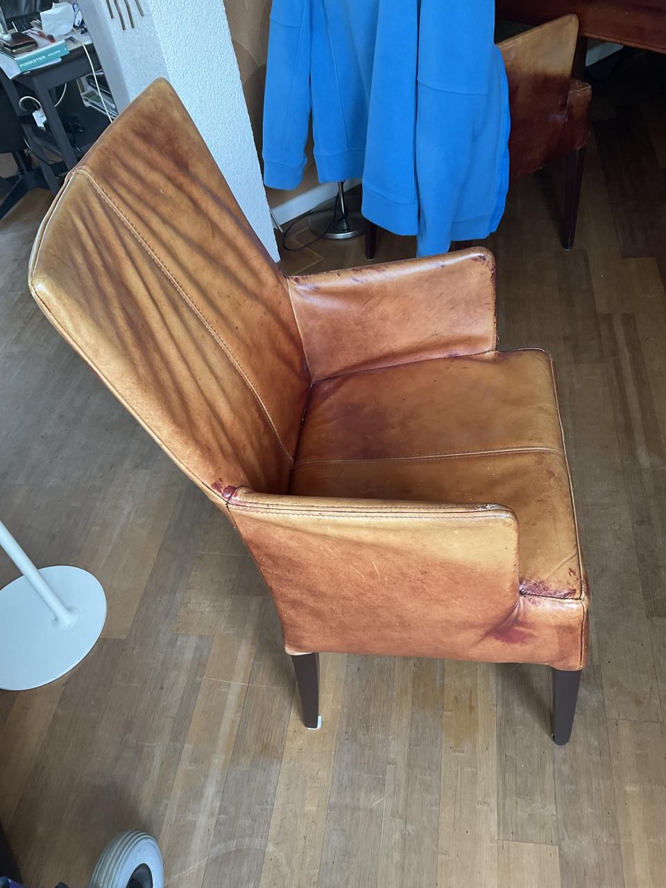 Eetkamerstoelen (leer)