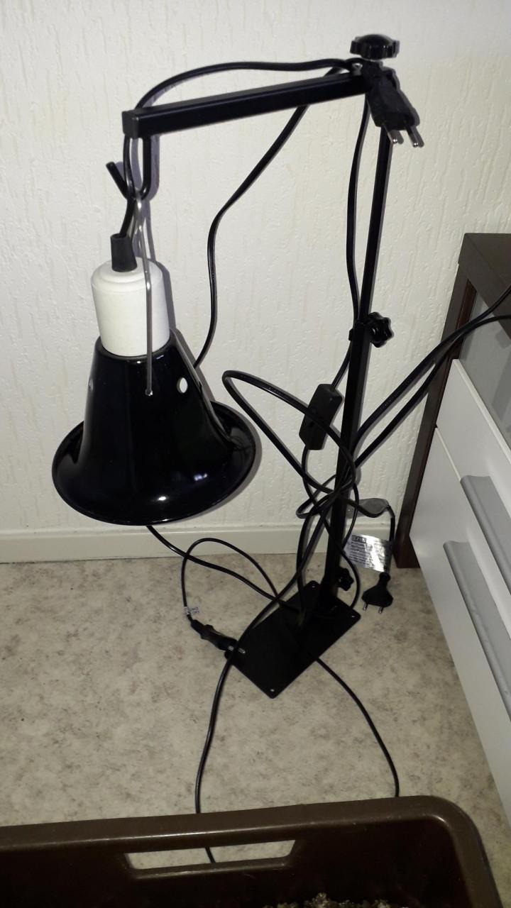 Schildpad bak en toebehoren 104cm