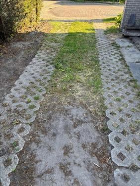 Grastegel