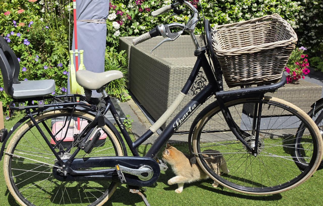 Batavus damesfiets met kinderzitje achterop.
