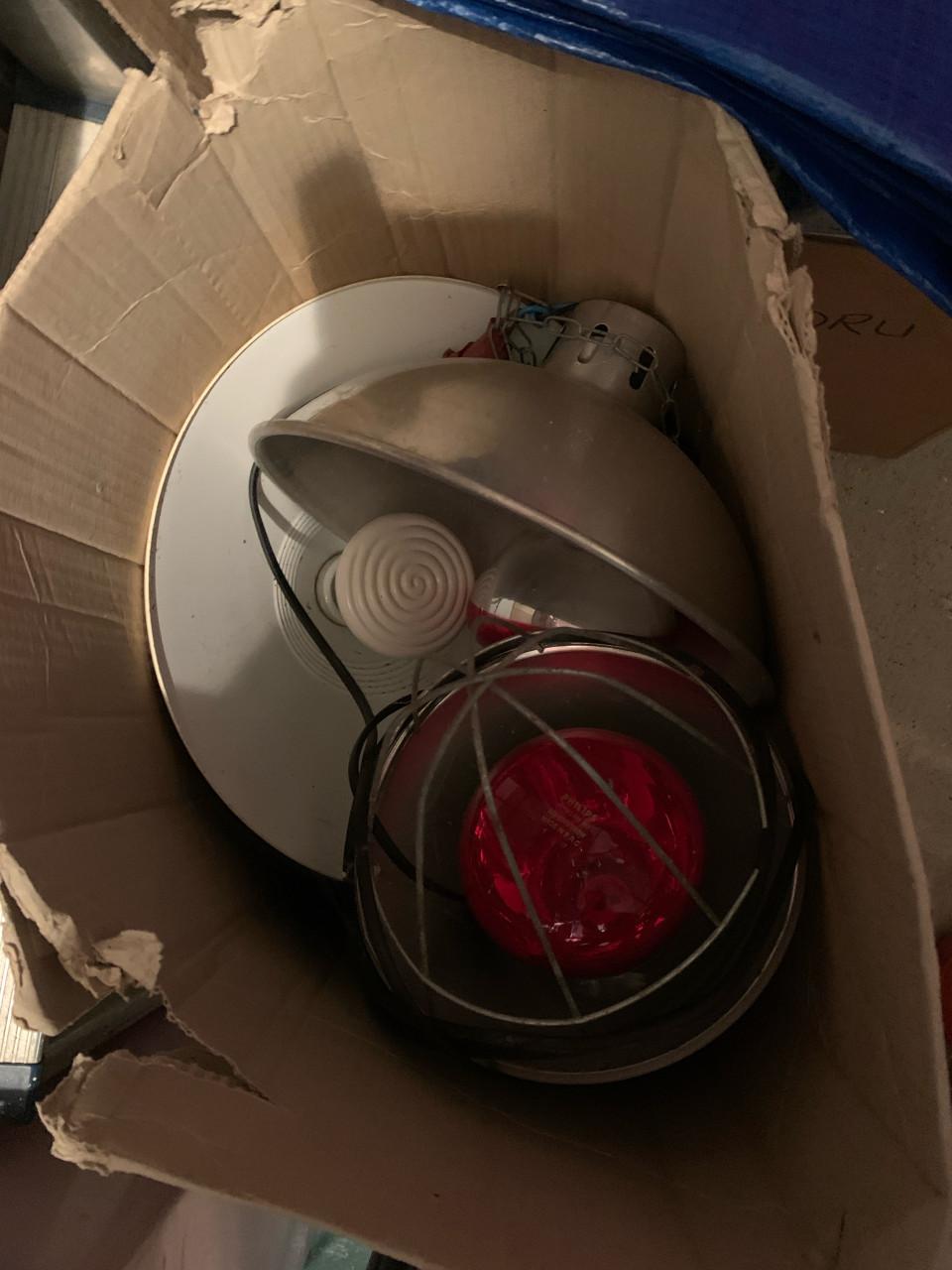 Warmtelamp varkenslamp 4 st