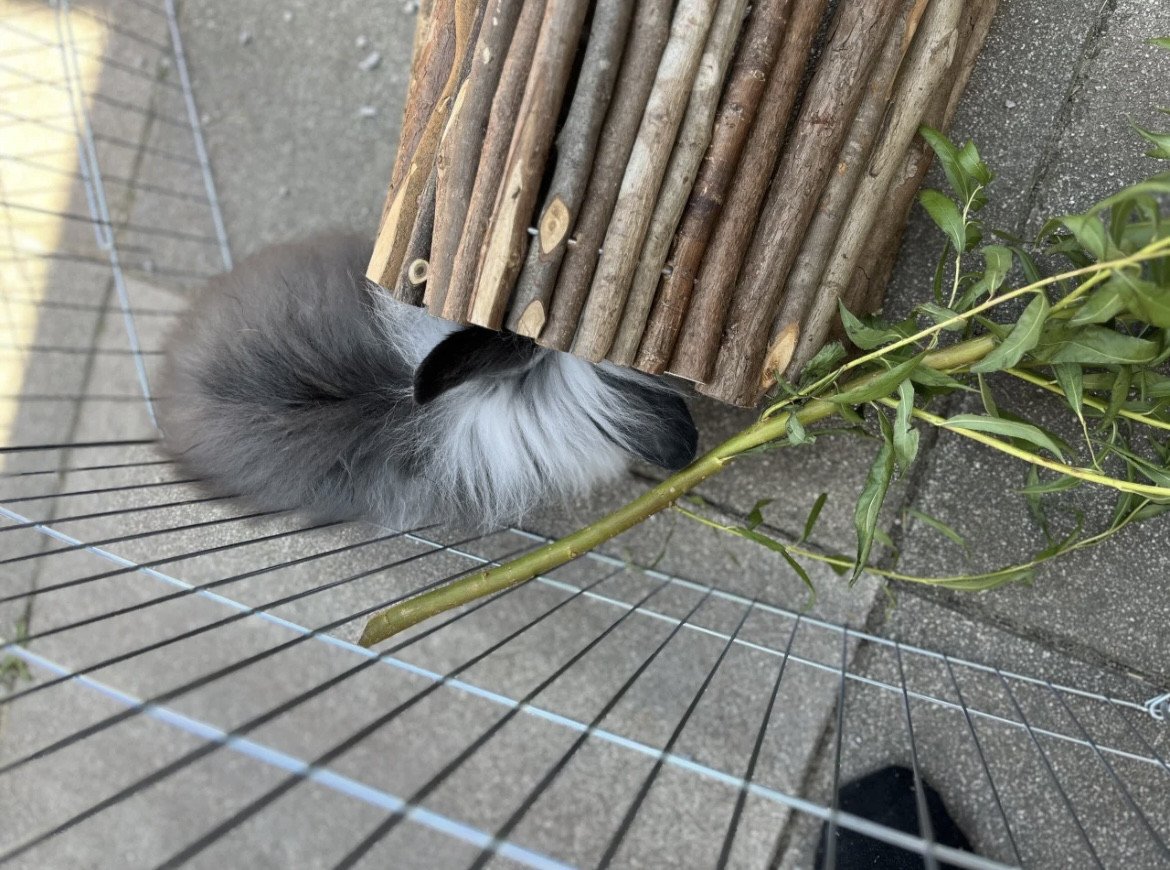 Lief zacht pluizenbolletje
