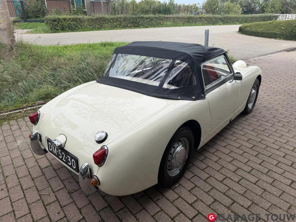 Austin Healey Onbekend sprite mk1 frogeye