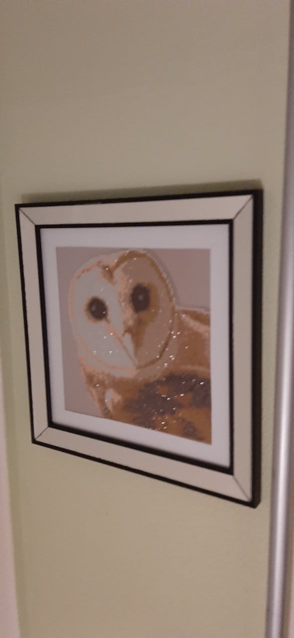 Lijst met diamond painting kerkuil