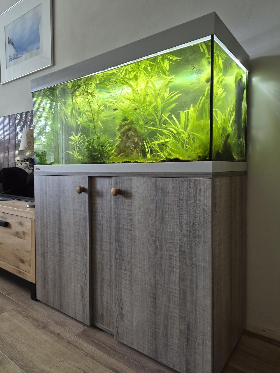 Aquarium ( Gereserveerd )