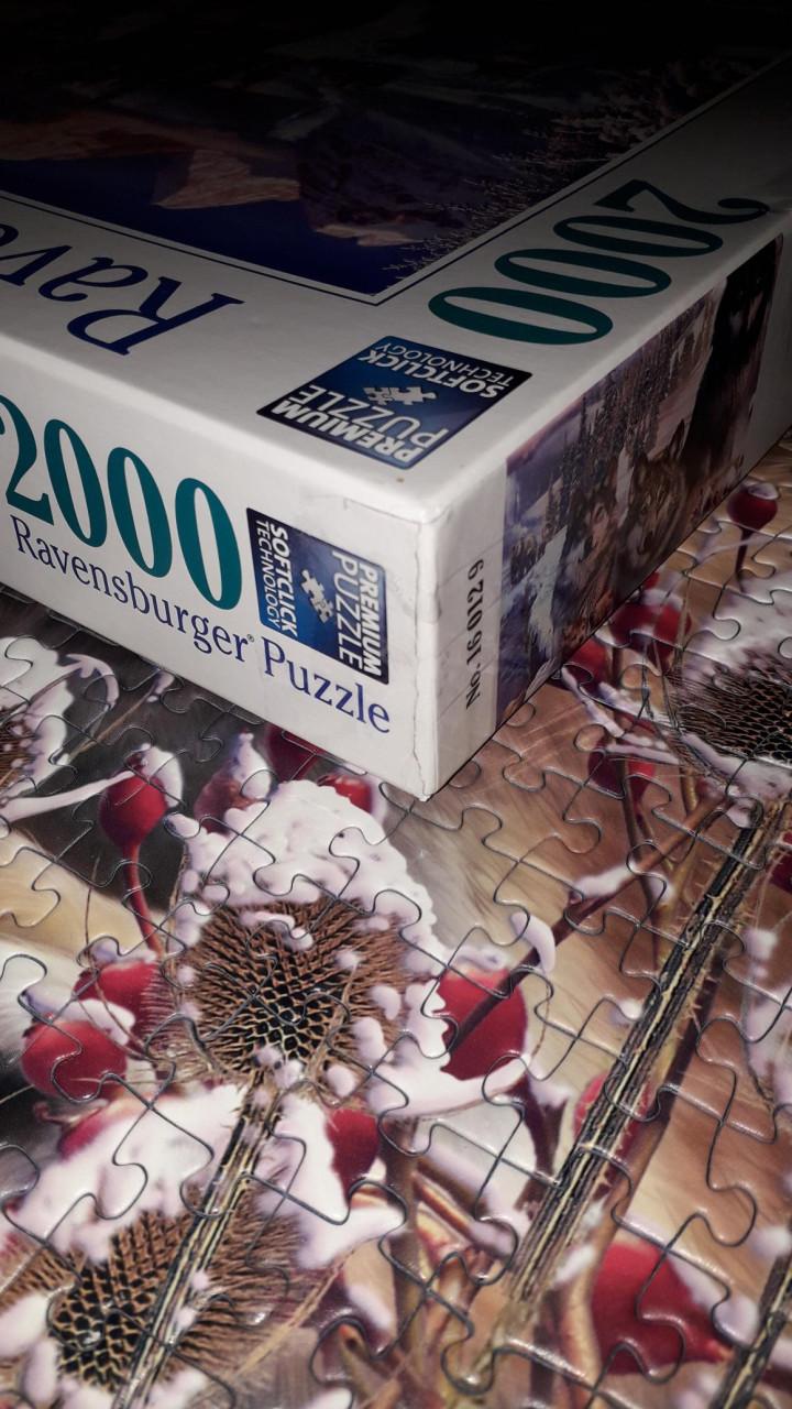 Puzzel 2000 stukjes wolven