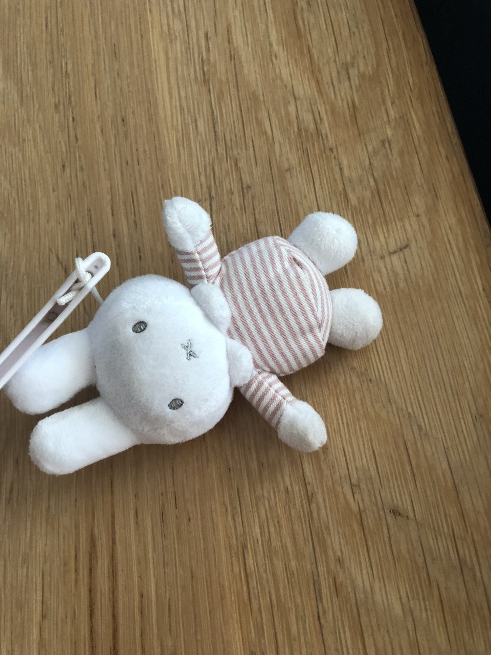 Nijntje muziek mobiel
