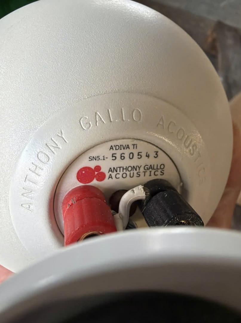 Hifi speaker Anthony Gallo Acoustics