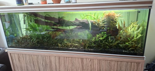 Aquarium