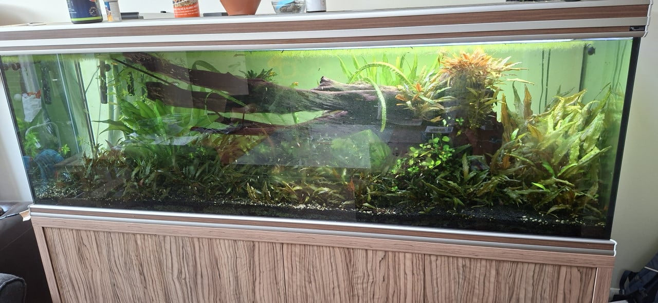 Aquarium