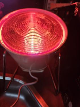 Vintage Philips Infraphil Infraroodlamp met doos
