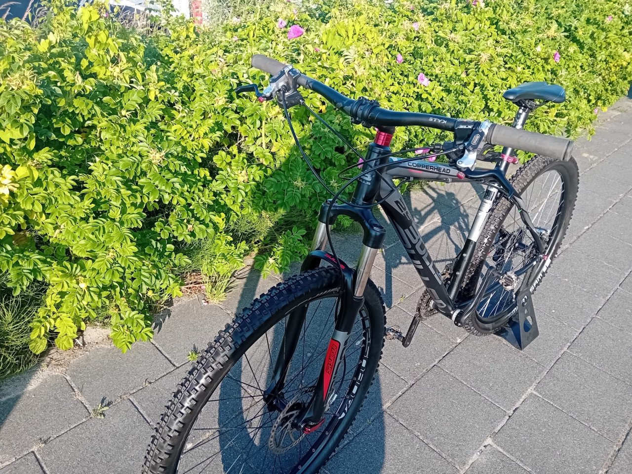 Stoere BULLS MTB