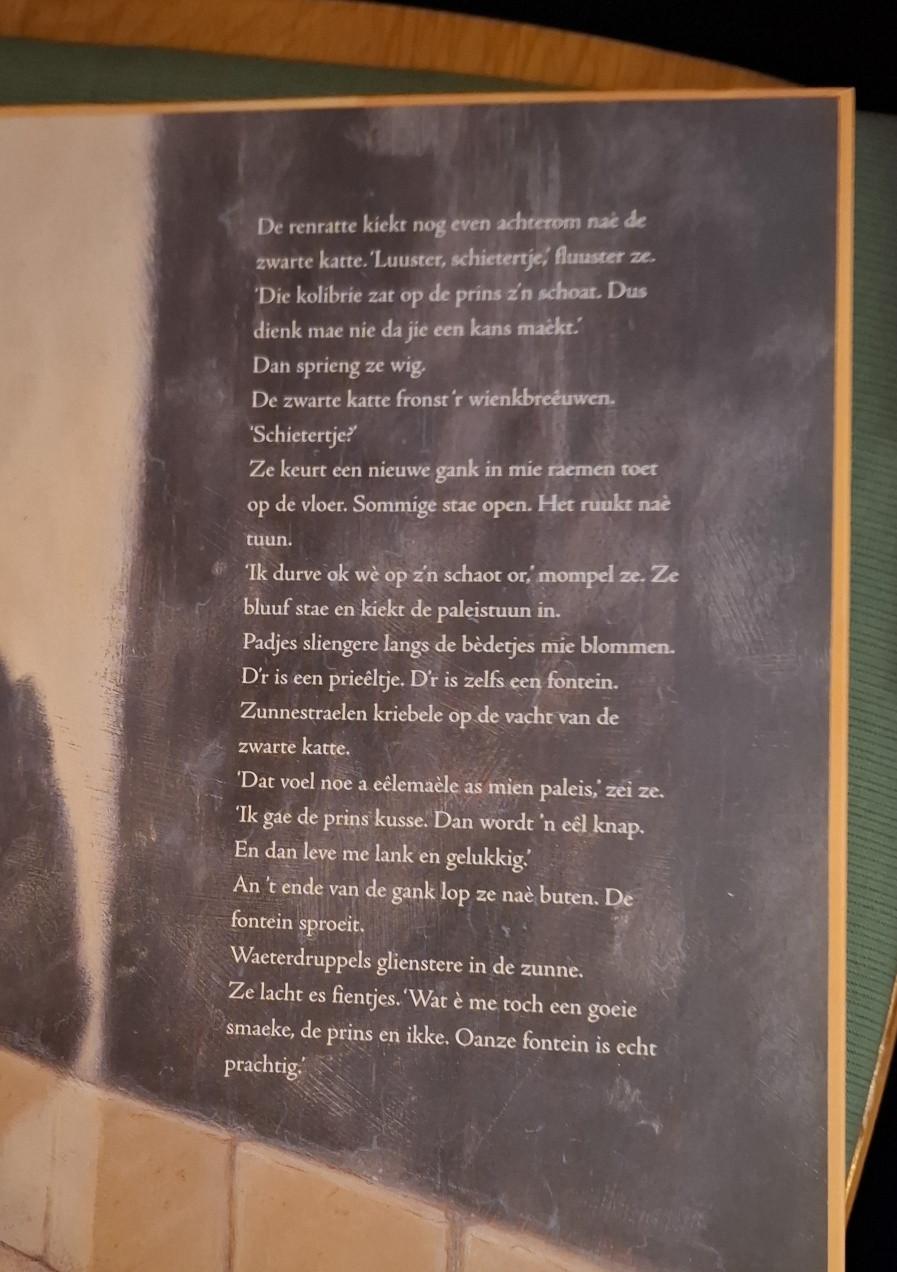 Misjes te kus en te keur, door Marancke Rinck en Martijn van der Linden